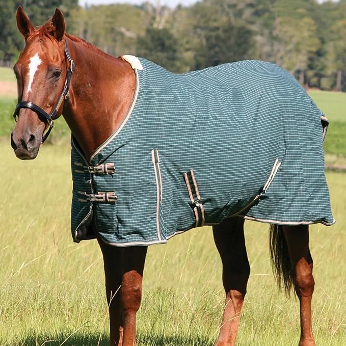 Jeffers Equine Basic Canvas Horse Blanket, 78" – Water Resistant Turnout Blanket for Horses, Pony, Draft – Breathable, Adjustable Straps, Tail Flap, Shoulder Gussets, Barn Gear - Green Tan Check