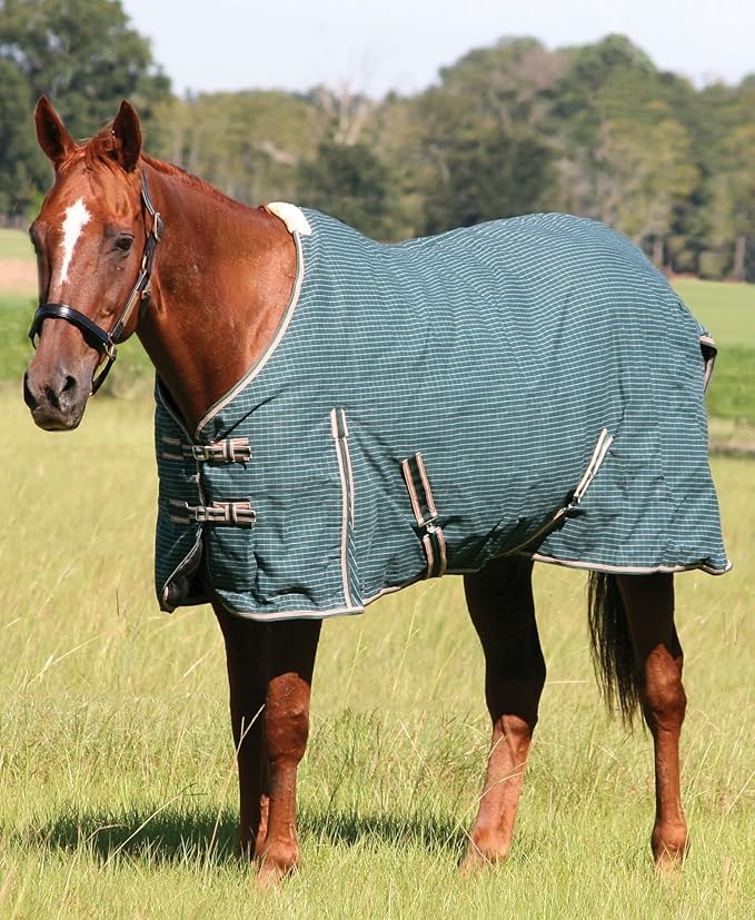 Jeffers Equine Basic Canvas Horse Blanket, 63" – Water Resistant Turnout Blanket for Horses, Pony, Draft – Breathable, Adjustable Straps, Tail Flap, Shoulder Gussets, Barn Gear - Green Tan Check