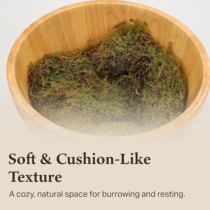 The Habitat Life - Natural Deco Moss - for Reptiles, Amphibians & Invertebrates Terrariums - Humidity Control - Natural Look & Feel - Soft Surface - Dye-Free & Safe - Medium - 1 Pack