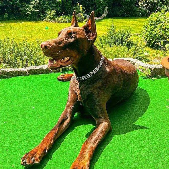 Dog Choke Martingale Collar, Silver Dog Chain Collar Stainless Steel Metal, Silver Dog Collar Adjustable Walking Chew Proof Double Row for Large Small Medium Dogs XL 26'' -28''