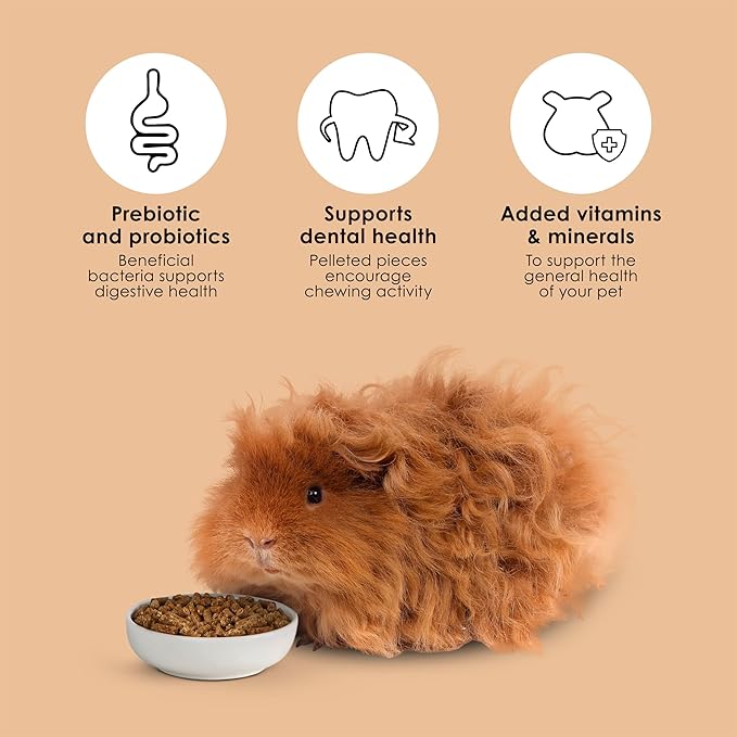 Kaytee Timothy Complete Guinea Pig Food, Made with Timothy Hay, High in Fiber, Supports Dental Health and Digestion, Long-lasting Vitamin C, 5 pounds