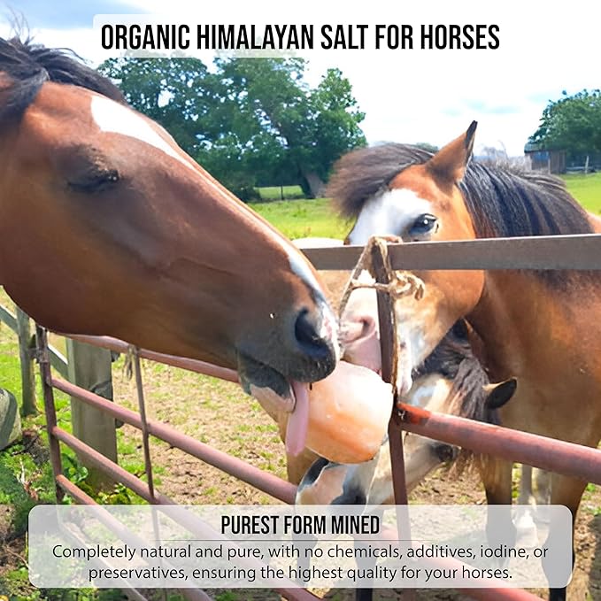 Animal Himalayan Salt Lick on Rope for Horses, Deer, Rabbits, Cows and Other Livestock | Lick Salt for Deer | Digestive Aid for Animals | Horse Treats (Horse-6LB)
