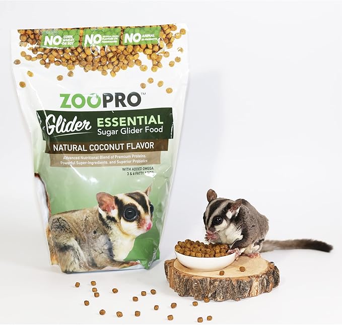 Exotic Nutrition Glider Essential 6 lb | Coconut Flavor | Zero Fillers