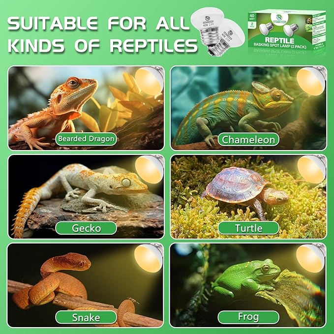 Reptile Heat Lamp Bulbs, UVA Reptile Heat Bulb 2 Pack, 40 Watt Heat Light Bulbs, Daylight Basking Spot Light for Lizard, Bearded Dragon, Snake, Gecko