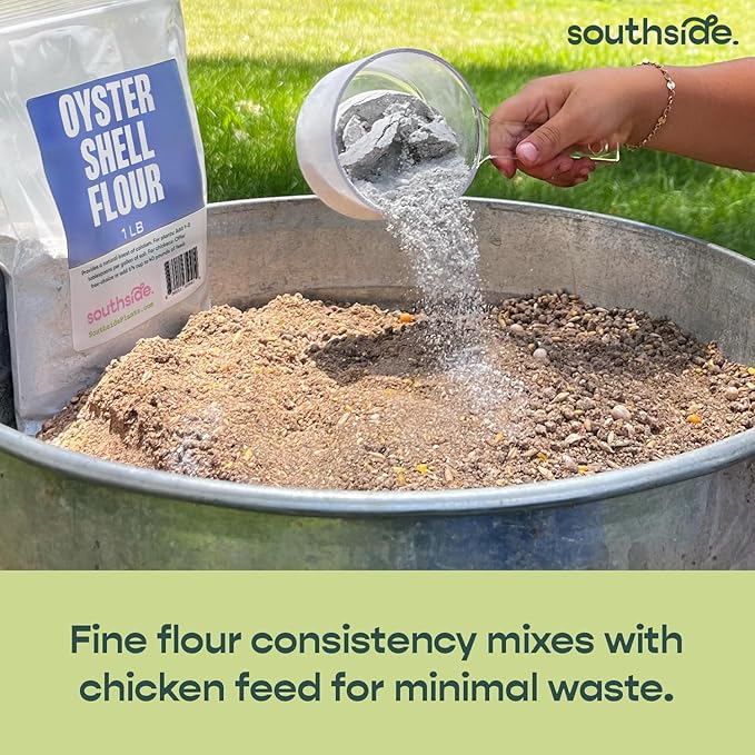 Southside Plants Oyster Shell Flour - High Calcium Supplement for Chickens, Amphibians, Reptiles, Mammals, Invertebrates & Birds - Harvest Delight Chicken Scratch | 1 lbs (1 lb)