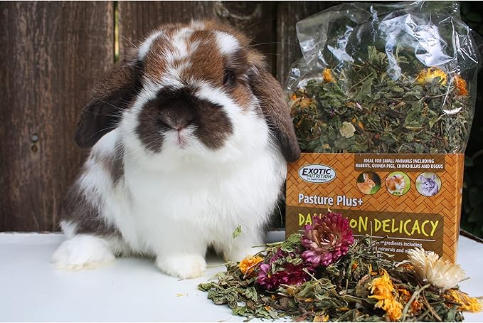Exotic Nutrition Pasture Plus+ Dandelion Delicacy - Healthy Natural High-Fiber Dried Flower Treat - Guinea Pigs, Rabbits, Chinchillas, Prairie Dogs, Degus, Hamsters, Gerbils & Other Small Pets