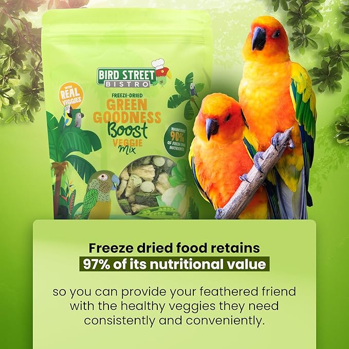 Bird Street Bistro Parrot Food - Parakeet & Cockatiel Food - Cooks in 3-15 min with Natural & Organic Grains, Legumes, Non-GMO Fruits, Vegetables & Health Spices