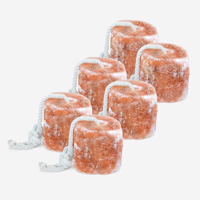RESISTANCE Himalayan Salt Lick 2lb Block on Rope for Horses, Cattle, Deer, Goats, and Livestock – Pack of 6 Blocks