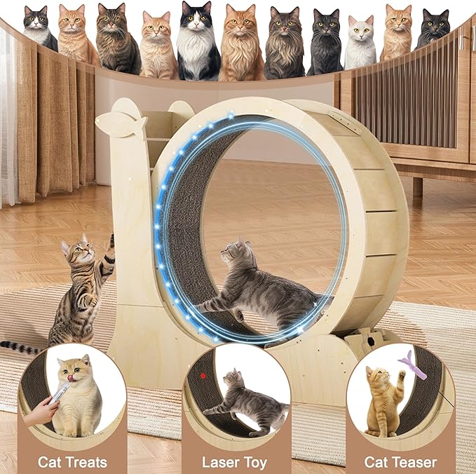 Cat Wheel,LED Cat Wheels for Indoor Cats Fitness,DIY Rainbow Runs,Solid Wood Exercise Wheel Running Treadmill with Color-Changing Light Strips,Scratch Pad and Brake