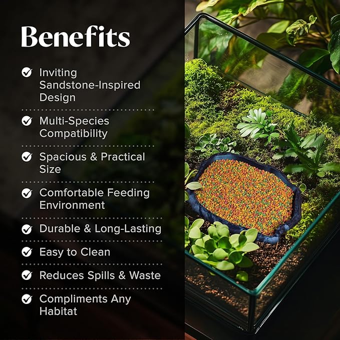 Gecko Cave Reptile Feeding Tray – Naturalistic Pet Dish for Lizards, Snakes, Bearded Dragons, Tortoises & Turtles - Burnt Titanium