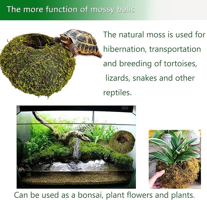 Hamiledyi Reptile Moss Cave Hide,Crested Gecko Habitat Hammock Green Moss Accessories Plastic Terrarium Plant Vines for Small Bearded-Dragon,Snakes,Chameleon Climbing Hibernation Sleeping