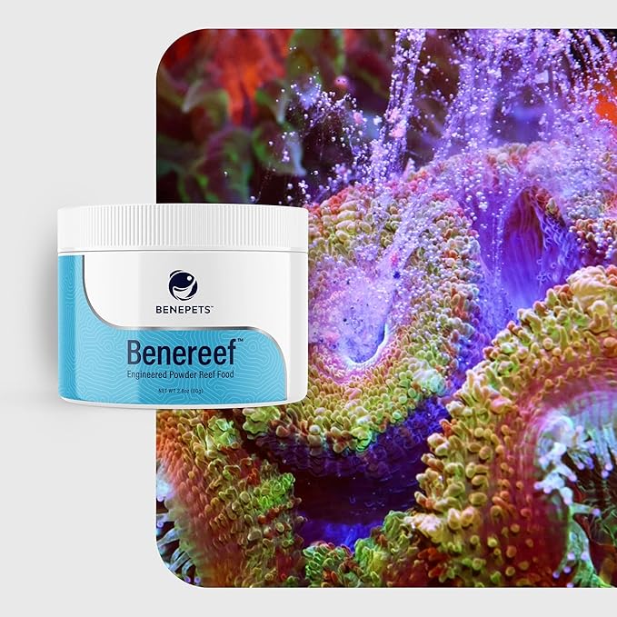 Benepets Benereef Powder Complete Reef Nutrition - Optimize Coral Growth, Color & Regeneration with Max Nutrient Absorption, Prebiotics & Probiotics, Coral & Fish Feed - 80 Grams