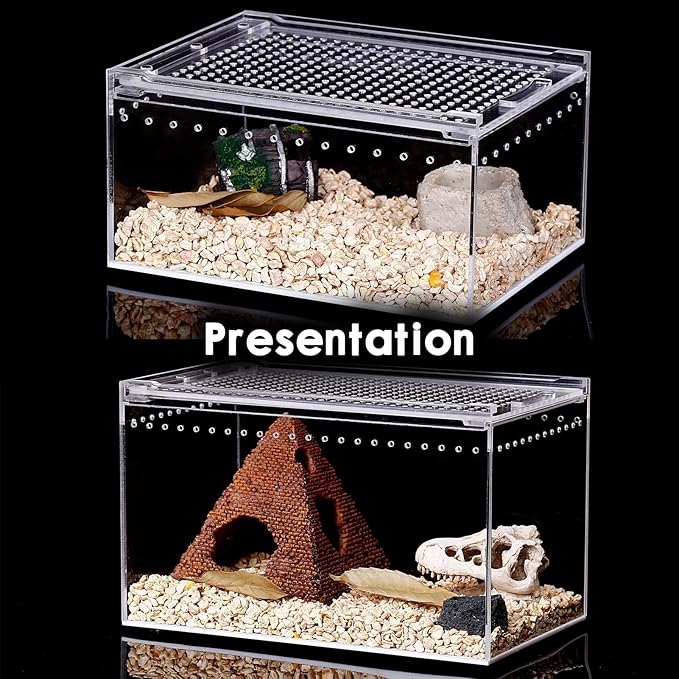 Reptile Terrarium - Amphibian Tank Starter Kit, Eco Rainforest Feeding Box, Amphibian Feeding Box, Suitable for breeding Lizards, Snakes, Chameleons,Jumping Spiders