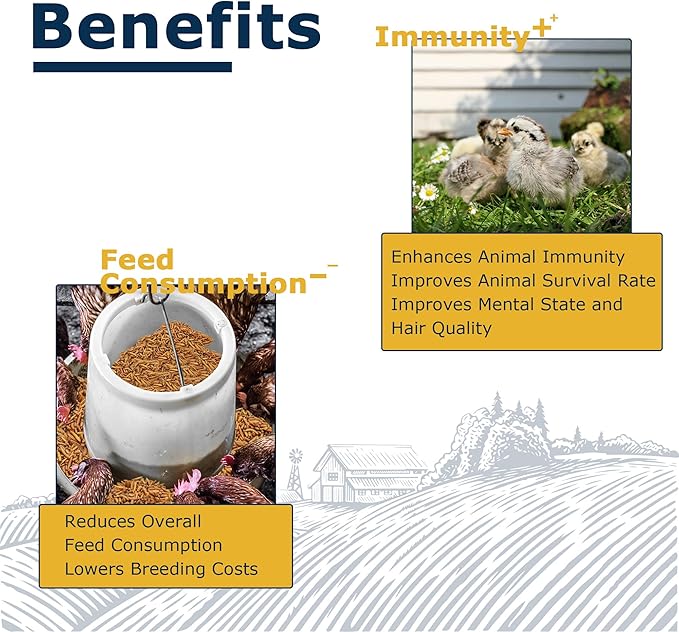 Nutrient-Rich Chicken Feed - 5LB Dried Black Soldier Fly Larvae, 100% Natural, 85X More Calcium Than Mealworms, Ideal for Molting & Laying Hens, Ducks, and Wild Birds, Reptiles and Hedgehogs