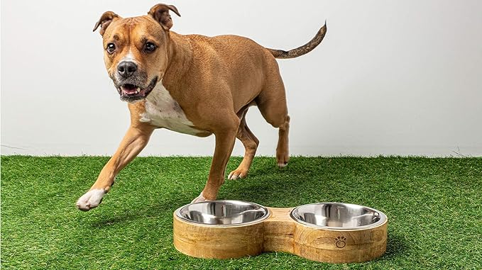 Luxury Elevated Dog Bowl Set - Mango Wood Stand with 2 Stainless Steel Food & Water Bowls - Raised Pet Feeder with Non-Slip Base, Modern Design for All Dog Sizes, Medium 24oz
