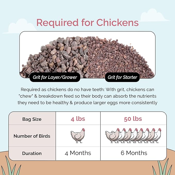 Mile Four Chick Grit for Baby Chicks - Chickens Age 0-8 Weeks, 100% Natural Mineral Chick Grit Quartzite, Poultry Grit Digestive Aid, USA Mined, 50 lb