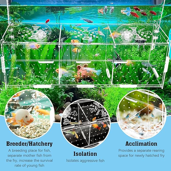 Hamiledyi Acrylic Breeding Isolation Box - Transparent Aquarium Hatchery for Guppy/Shrimp/Small Fish, Safe Nursery Tank with Air Tube & Suction Cups(11.8" × 3.9" × 3.9")