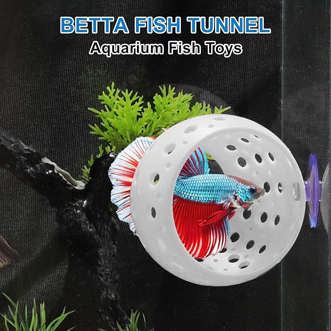 Betta Hideout Tunnel, Interactive Aquarium Decor, Aquarium Tunnel for Betta, Exciting Hiding Spot, White