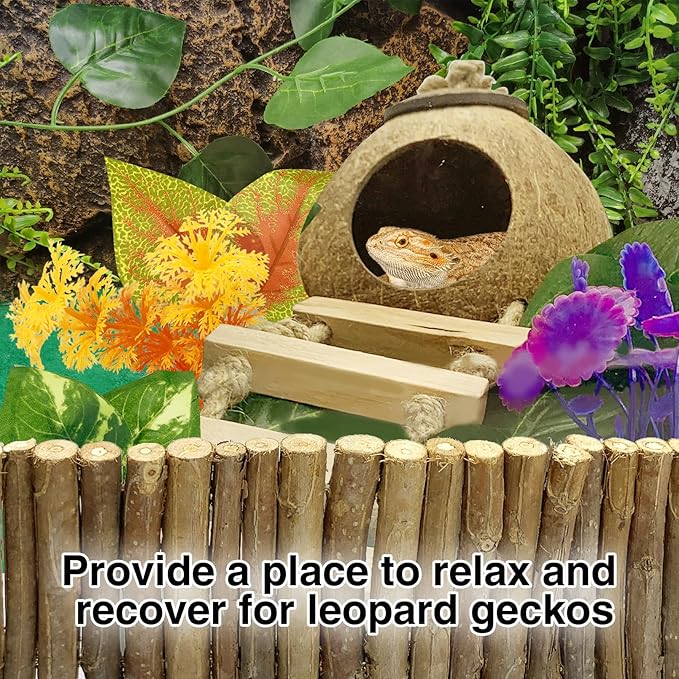 Hamiledyi Leopard Gecko Tank Accessories, 10 Pcs Reptile Vines Plants with Coconut Shell Ladder Hideout Hut Hermit Crab Decor for Bearded Dragon Lizard Chameleon Tortoise Snake Play Rest