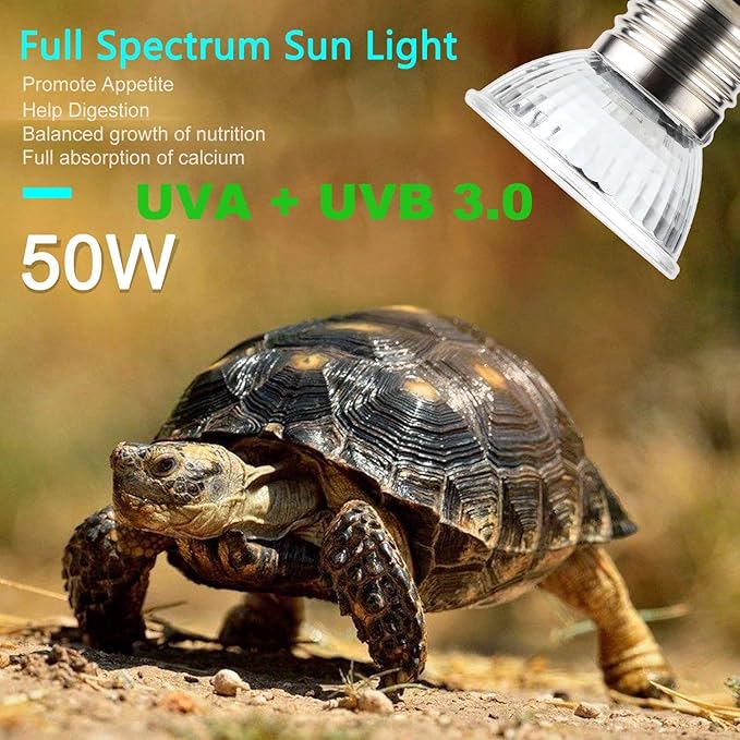 OMAYKEY 50W 6-Pack UVA + UVB Full Spectrum Sun Lamp Sunbathe Heat Lamp/Bulb/Light for Lizard Reptiles and Amphibians