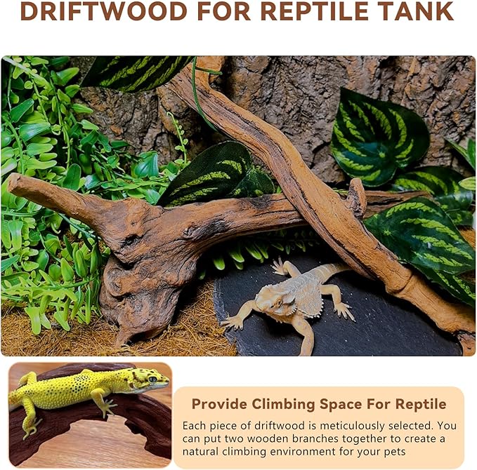 BNOSDM 2PCS Snake Climbing Branches,Reptile Natural Coral Driftwood Branches Decor,Lizard Habitat Decoration Accessories, Terrarium Tree Trunk Ornament for Bearded Dragon Gecko Frog Chameleon Spider