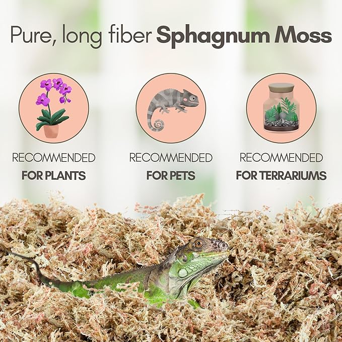 Mossify Premium Sphagnum Moss for Plants 50g, 1.8 Oz - Long Fiber Moss for Plants Indoor, Orchids, Terrariums, Gardening, Reptiles – Moisture Plant Moss for Propagation, Soil & Habitat Bedding