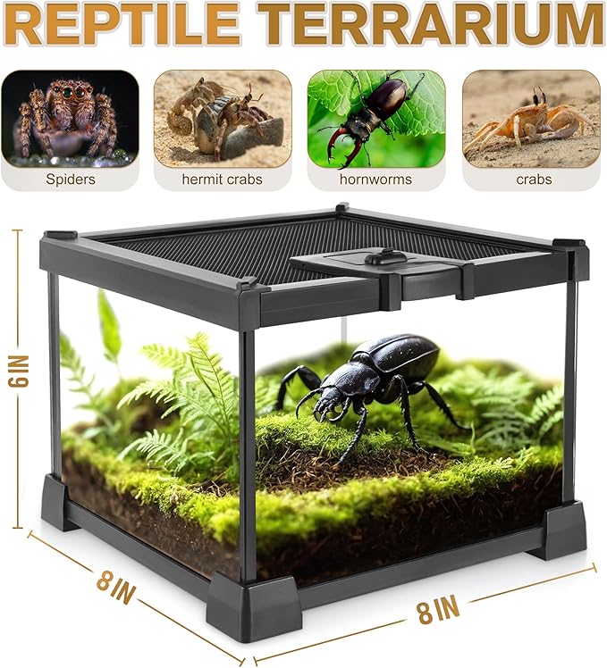 Mini Reptile Glass Terrarium Vivarium 8'' x 8'' x 6'' Full View Tank Small Amphibians Glass Habitat Cage with Feeding Slot & Box Lock Buckle