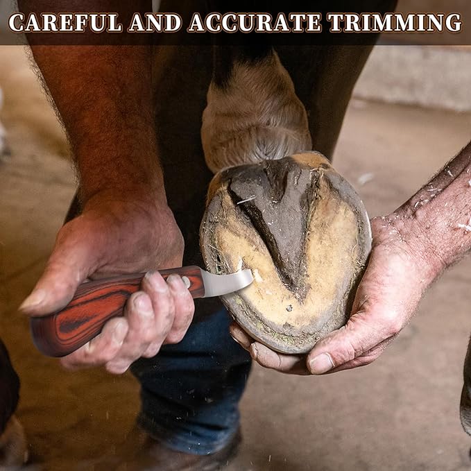Hoof Knife with Sharpener,Farrier Tool Kit,Double Edged Hoof Trimming Knife with Wooden Handle, High-Carbon Steel Blade Hoof Knife for Horses