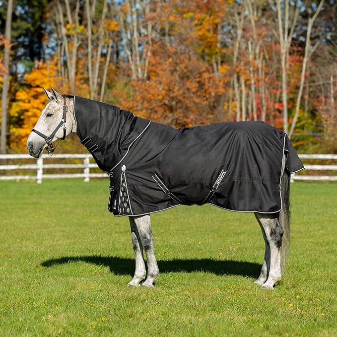 Equinavia Norse Lightweight 100g Fill Horse Rain Blanket | Waterproof Turnout Sheet - Black - 66 in - Black - 69 in