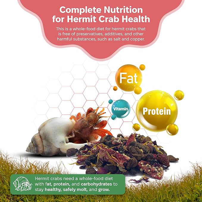 Summer Sunset Wild Hermit Crab Food – Silkworms, Berries & Rose Petals – 56g – Snout and Shell
