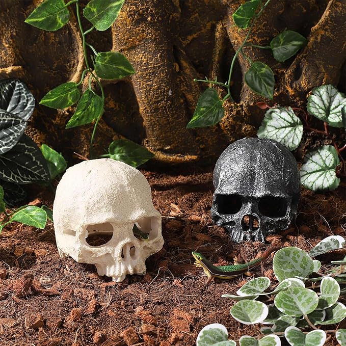 Resin Reptile Hideout for Tank Realistic Skull Decor for Terrarium White Decorative Skeleton Head Hides and Caves for Fish Ball Python Axolotl Tarantula