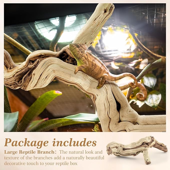 Janinka 10-12" Length Large Wood Reptile Branch for Bearded Dragon Driftwood Reptile Climbing Habitat Decoration for Terrarium Tree Trunk Ornament Gecko Frog Chameleon Spider