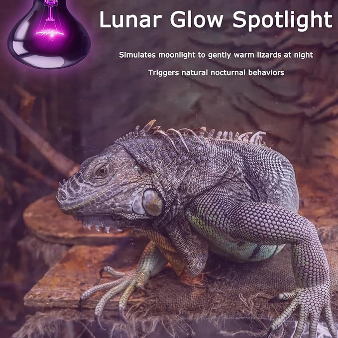 75W Reptile Night Light Bulb - Moonlight Night Heat Lamp - Simulates Natural Moonlight, Purple Basking Spot Light for Bearded Dragons, Lizards & Amphibians - Optimal for Reptile Habitats