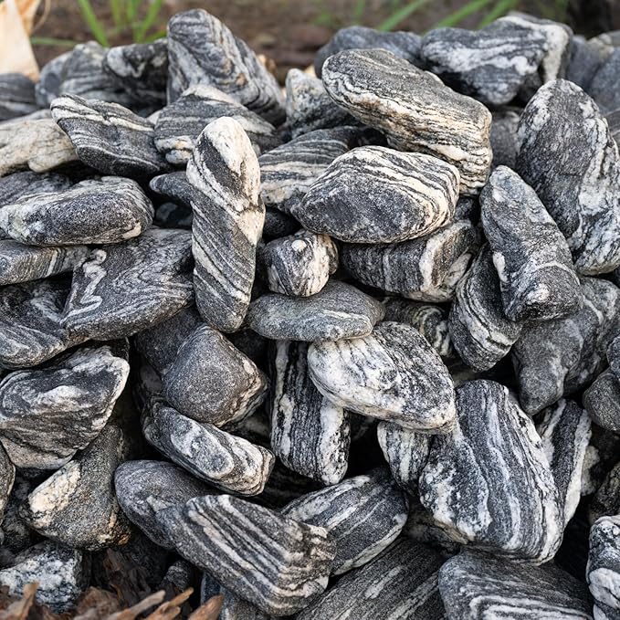 Natural Rocks Aquarium Stone 20lb Silver Seiryu Rock for Fish Tanks, Terrariums, Bonsai, Garden Decoration, Micro Landscapes & Reptile Terrariums (2-9inch 7-8Pcs)