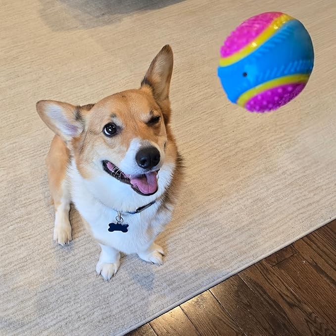 SPOT Sensory Ball for Soft Chewers - Stimulates All 5 Senses, Bell & Squeaker Sounds, Raised Nubs Clean Teeth, High Contrast Fetch Toy, Beef Scented, Durable TPR Rubber Ball, 2.5-inch