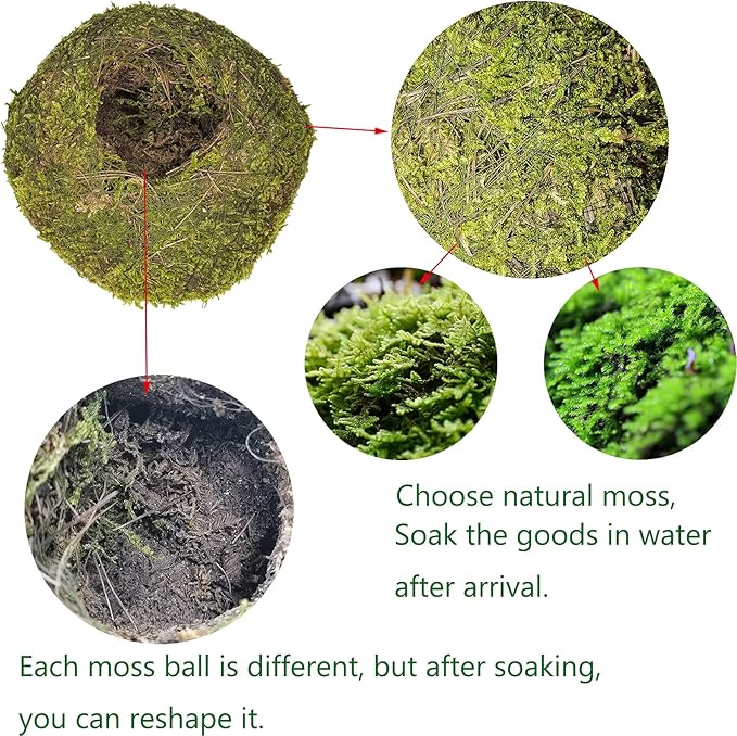 Hamiledyi Reptile Moss Cave Hide,Crested Gecko Habitat Hammock Green Moss Accessories Plastic Terrarium Plant Vines for Small Bearded-Dragon,Snakes,Chameleon Climbing Hibernation Sleeping