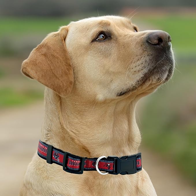 Pets First NFL Tampa Bay Buccaneers Licensed PET COLLAR, Large - Heavy-Duty, Strong, and Durable Dog Collar. Available in 31 Football Teams and 4 Sizes