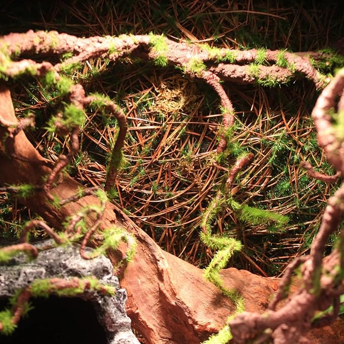 BNOSDM Reptile Bend-A-Branch Vines with Moss,Bendable Reptile Jungle Vines,Bearded Dragon Climbing Plants Tank Accessories,Pet Habitat Decor for Chameleon Geckos Snakes Lizards Frogs