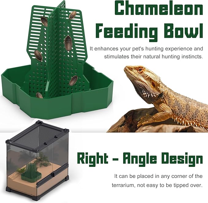 Chameleon Feeding Bowl for Reptile Terrarium, Climbable Design for Reptile to Hunt, Suitable for Feeding Lizards, Bearded Dragons, Geckos, Guardians, Frogs, Green, Large