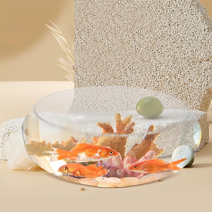 Glass Terrarium Bowl: 9.8" Diameter Round Betta Fish Tank & Hydroponic Planter - 7.87" Wide Mouth Glass Vase for Air Plants, Succulent Centerpiece, Wedding Table Decor
