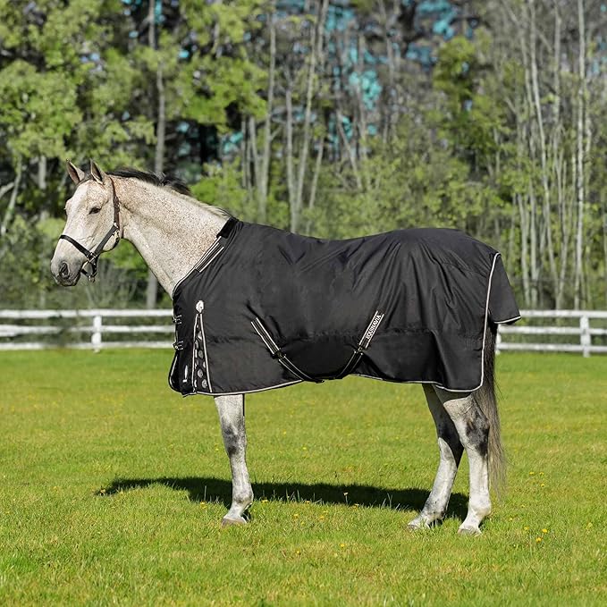 Equinavia Norse Lightweight 100g Fill Horse Rain Blanket | Waterproof Turnout Sheet - Black - 66 in - Black - 72 in