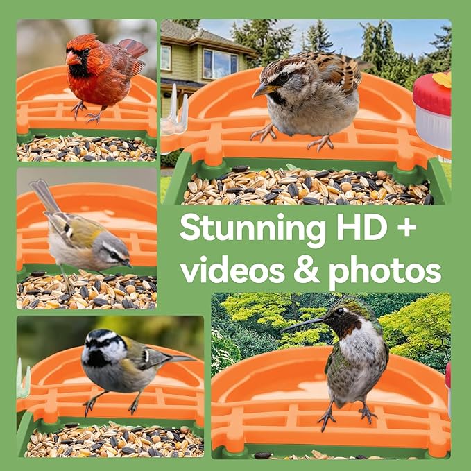 Smart AI Bird Feeder with Camera,2.5K HD Live View,Solar Powered,Instant Birds Species Recognition,Real Time Alerts,Wireless Birdhouse with Night Vision,Green