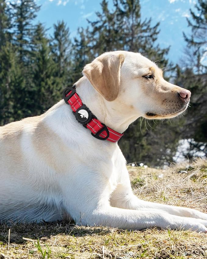 Joytale Airtag Dog Collar, Reflective Pet Collar with Waterproof AirTag Holder, Dual D-Rings, Soft Padded Adjustable for Extra Large Dogs, Red, XL