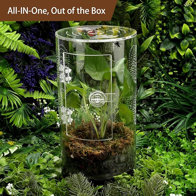 Jumping Spider Enclosure, 11.5”*6”*6”, Air Hole 3/64" Micro Habitat Terrariums, Arboreal Reptile Tank with Front Opening Door,Tarantula Enclosure, Plant Greenhouse