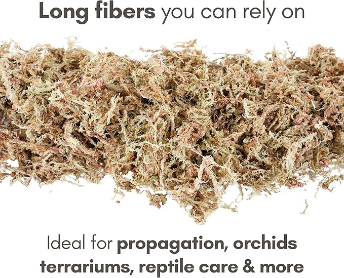 Mossify Premium Sphagnum Moss for Plants 50g, 1.8 Oz - Long Fiber Moss for Plants Indoor, Orchids, Terrariums, Gardening, Reptiles – Moisture Plant Moss for Propagation, Soil & Habitat Bedding