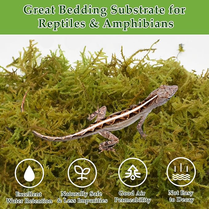 Halatool 2.5LB Natural Sphagnum Moss for Reptiles- 60QT Green Moss for Terrarium Plants Long Fiber Reptile Moss for Leopard Gecko Snake Hamsters Tortoises Frogs Lizards Salamanders