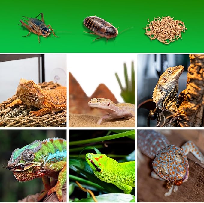 Cricket Calcium Powder Mixer, Reptile Cricket Keeper, Reptile Calcium Duster for Bearded Dragon Gecko Lizard Snake Chameleon