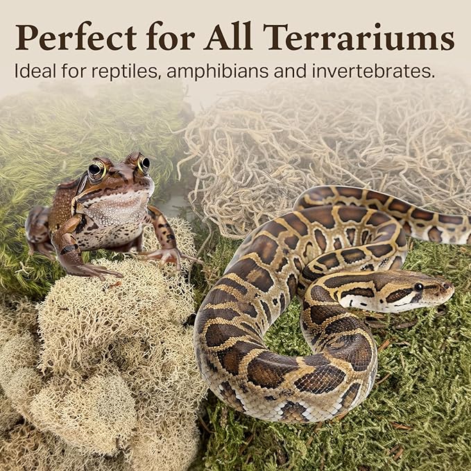 The Habitat Life - Natural Variety Pack - Mix of Reindeer, Mood, Sheet & Spanish Moss - for All Terrariums - Humidity Control - Breathable Bedding - Dye-Free & Safe - Small - 2 Pack