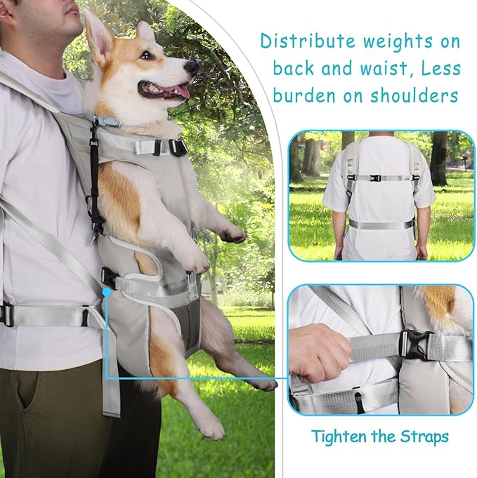 PetBonus Pet Front Dog Carrier Backpacks, Adjustable Pet Backpack, Legs Out Easy-fit Puppy Chest Carrier for Medium Small Dogs, Hands Free for Hiking, Cycling (Grey, L)