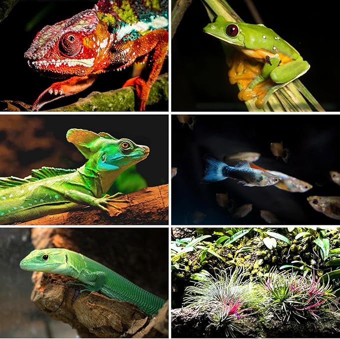 REPTI ZOO Large Tall Glass Reptile Tank 36"x18"x36", 100 Gallon Vertical Reptile Terrarium with Mesh for Chameleon Arboreal Lizard Frog, Paludarium Vivarium Tank